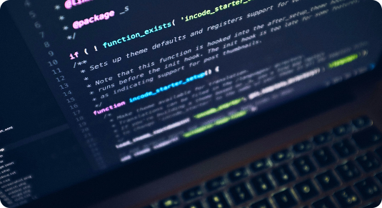 CMS Development